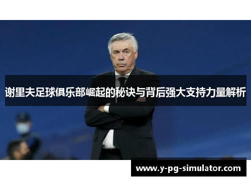 谢里夫足球俱乐部崛起的秘诀与背后强大支持力量解析