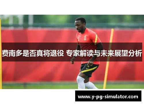 费南多是否真将退役 专家解读与未来展望分析