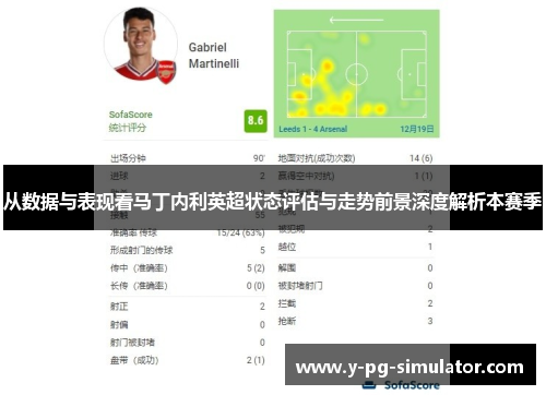 从数据与表现看马丁内利英超状态评估与走势前景深度解析本赛季