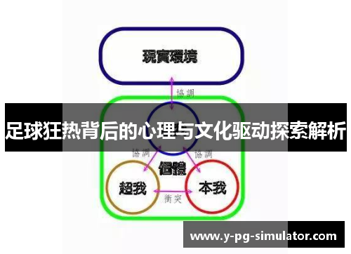 足球狂热背后的心理与文化驱动探索解析